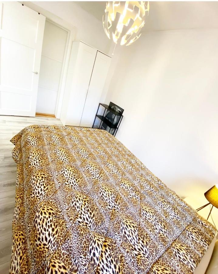 Apartment In Most Pop-Ular Area Norrebro 코펜하겐 외부 사진